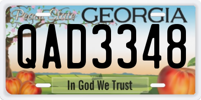 GA license plate QAD3348