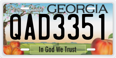 GA license plate QAD3351