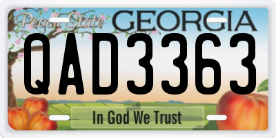 GA license plate QAD3363