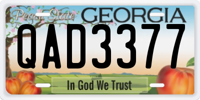 GA license plate QAD3377