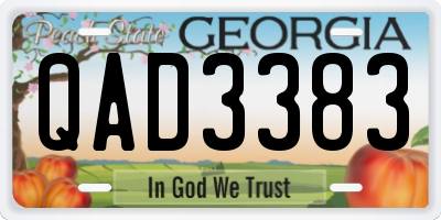 GA license plate QAD3383