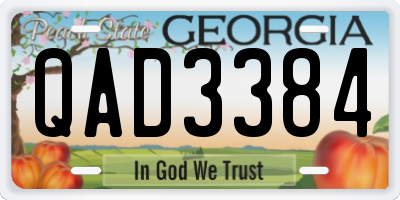 GA license plate QAD3384