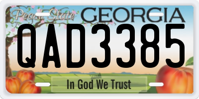 GA license plate QAD3385