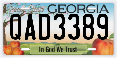 GA license plate QAD3389