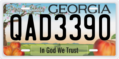 GA license plate QAD3390