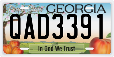 GA license plate QAD3391