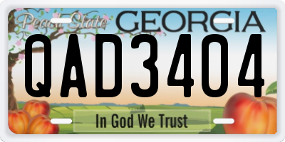 GA license plate QAD3404