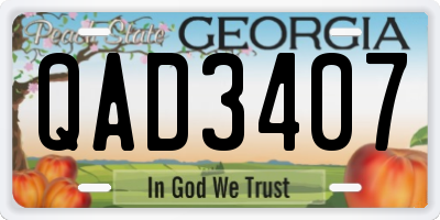 GA license plate QAD3407