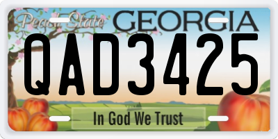 GA license plate QAD3425