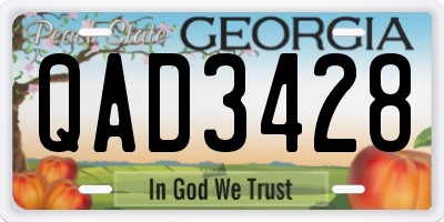 GA license plate QAD3428