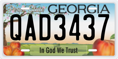 GA license plate QAD3437