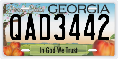 GA license plate QAD3442