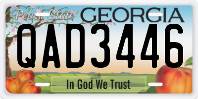 GA license plate QAD3446