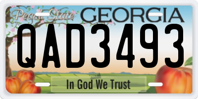 GA license plate QAD3493