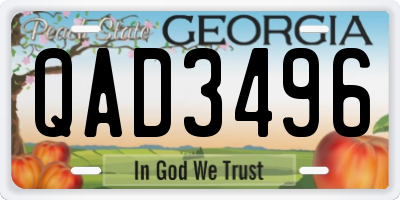 GA license plate QAD3496