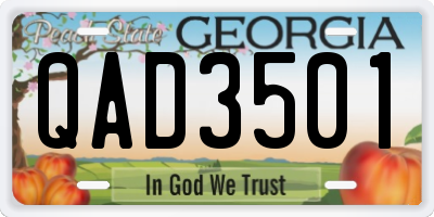 GA license plate QAD3501