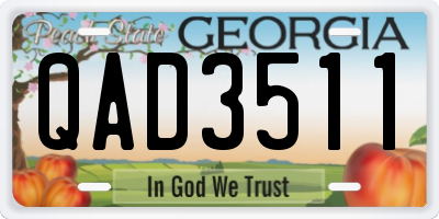 GA license plate QAD3511