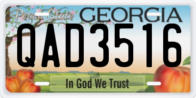 GA license plate QAD3516