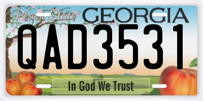 GA license plate QAD3531