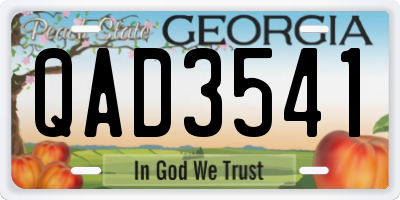 GA license plate QAD3541