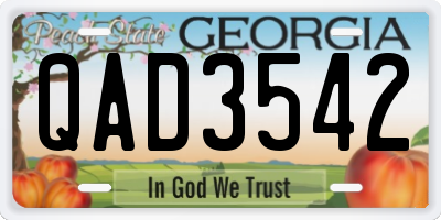 GA license plate QAD3542