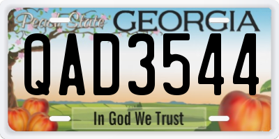 GA license plate QAD3544