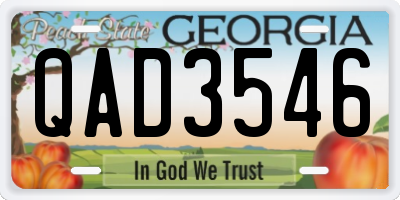 GA license plate QAD3546