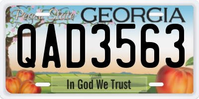 GA license plate QAD3563