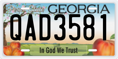 GA license plate QAD3581