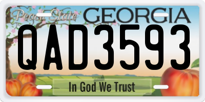 GA license plate QAD3593