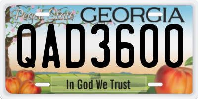 GA license plate QAD3600