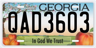 GA license plate QAD3603