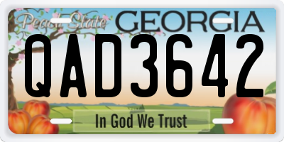 GA license plate QAD3642