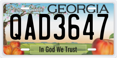 GA license plate QAD3647