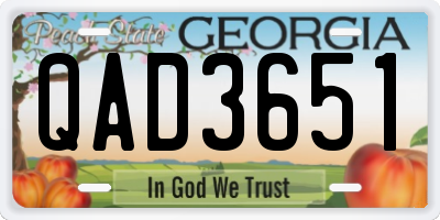 GA license plate QAD3651