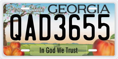 GA license plate QAD3655