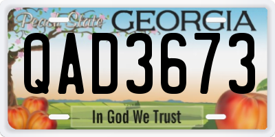 GA license plate QAD3673