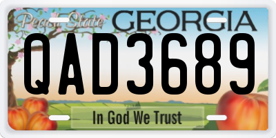 GA license plate QAD3689