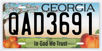 GA license plate QAD3691