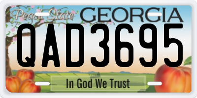 GA license plate QAD3695