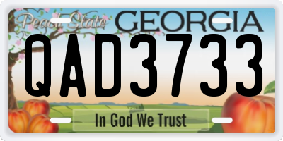 GA license plate QAD3733