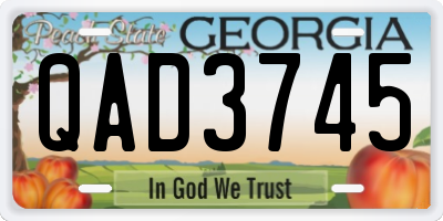 GA license plate QAD3745