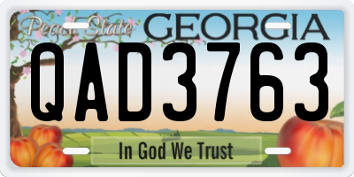 GA license plate QAD3763