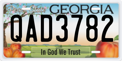 GA license plate QAD3782