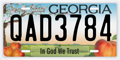 GA license plate QAD3784