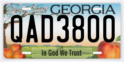 GA license plate QAD3800