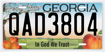 GA license plate QAD3804