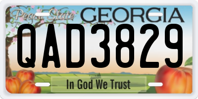 GA license plate QAD3829