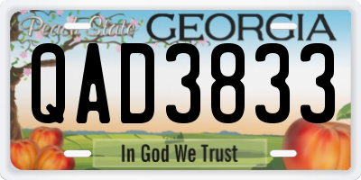 GA license plate QAD3833