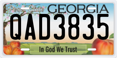 GA license plate QAD3835